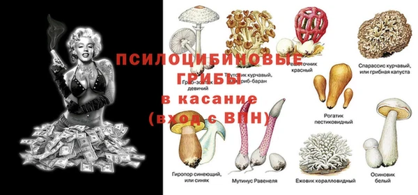 индика Абдулино